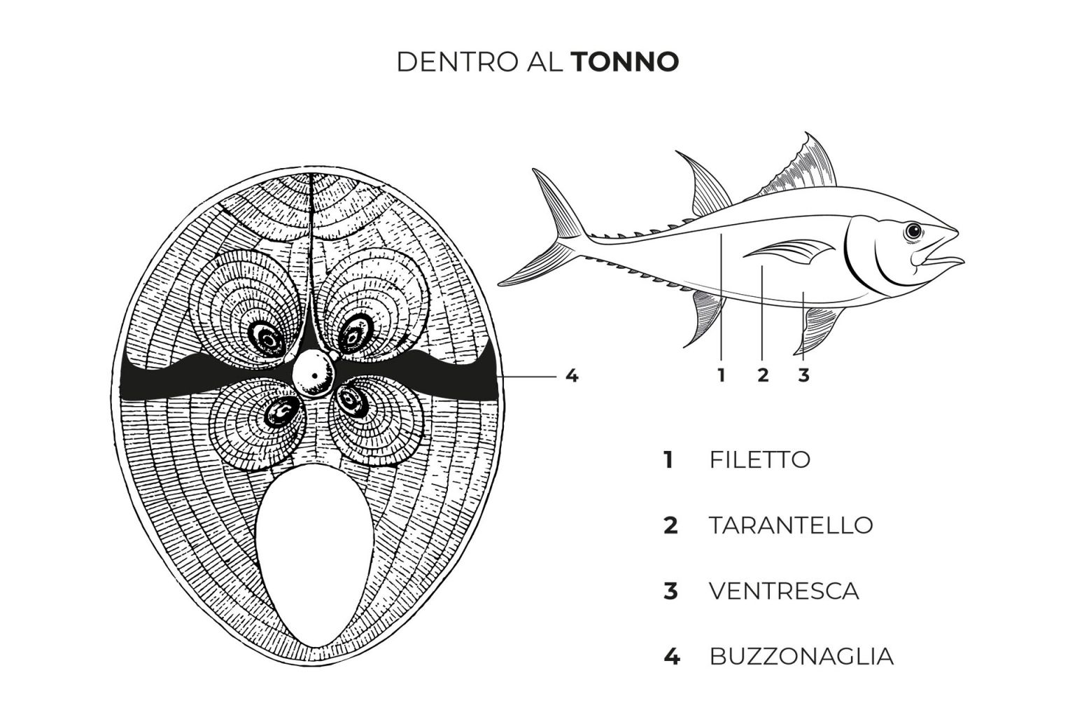il tonno e la vacca