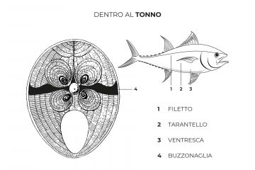 Interni del tonno